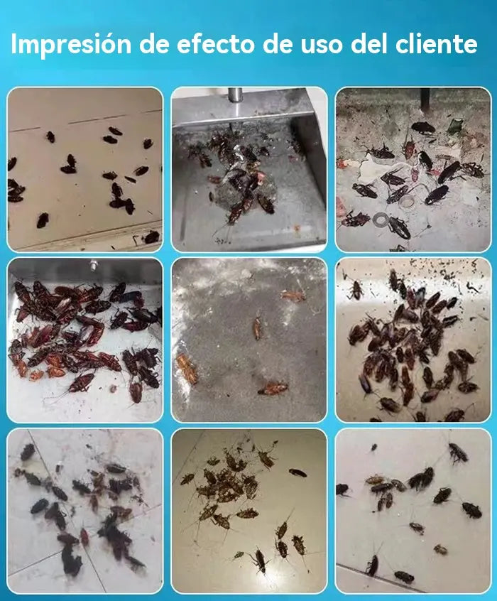 🔥【Compra uno y llévate otro gratis】Parche de cebo de gel fuerte para matar cucarachas